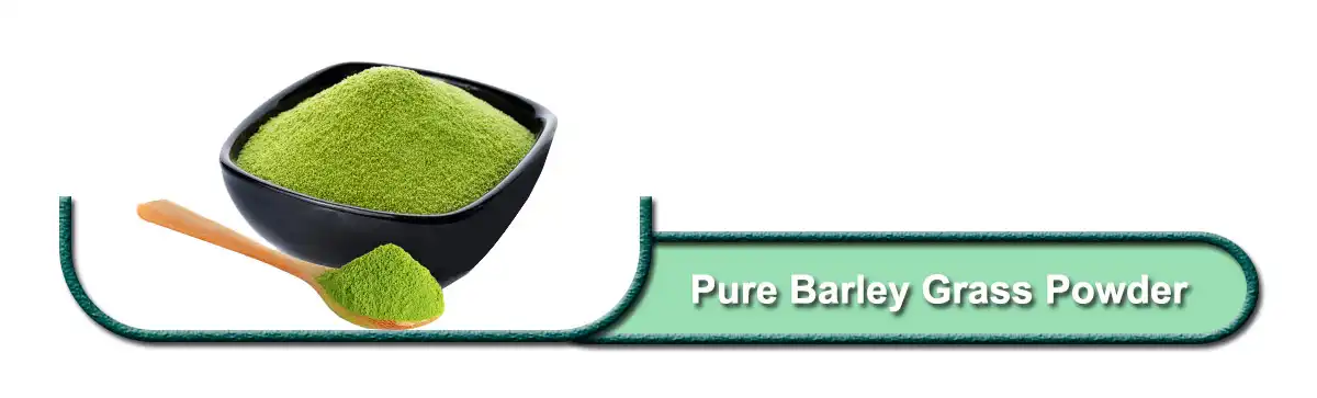 Pure Barley Grass .jpg